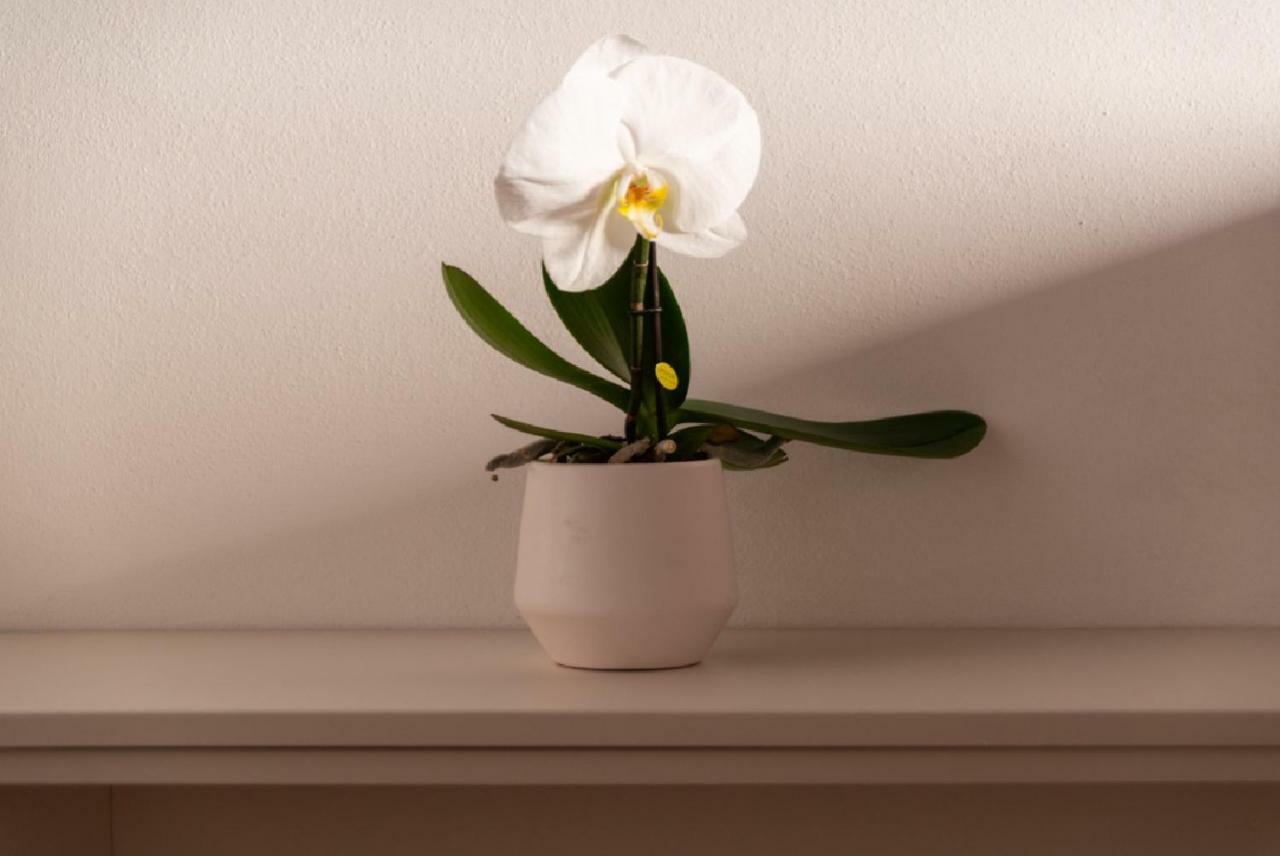Like A Miracle Apartment Venice Ngoại thất bức ảnh